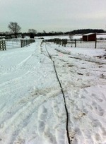 Thumbnail image for Lundberg-Far-Pasture-Winter-2010